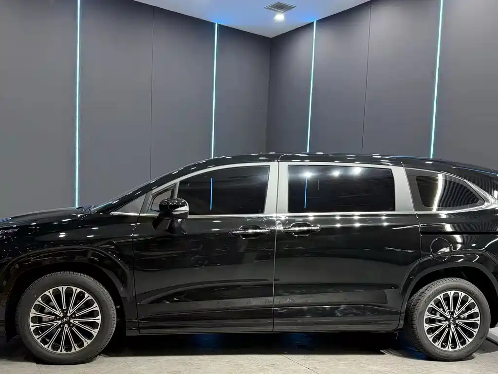 Hyundai Custo — миниатюра 4