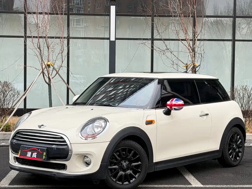 Mini Mini 2017