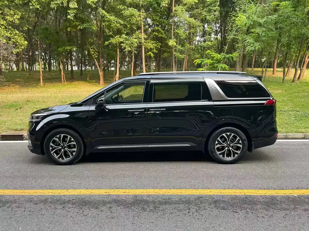 Kia Carnival — миниатюра 2