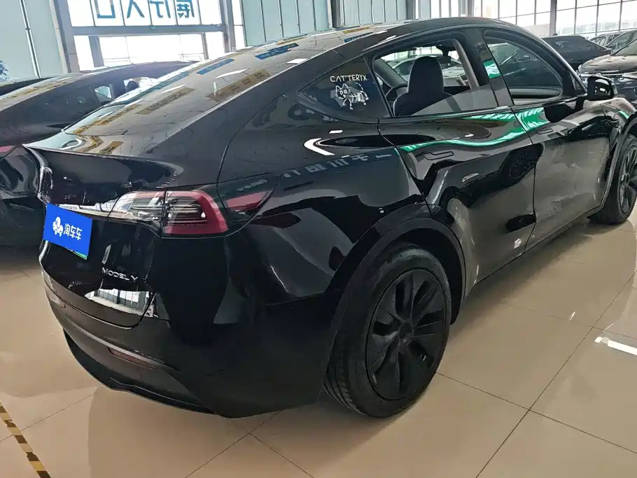 Tesla Model Y — миниатюра 3