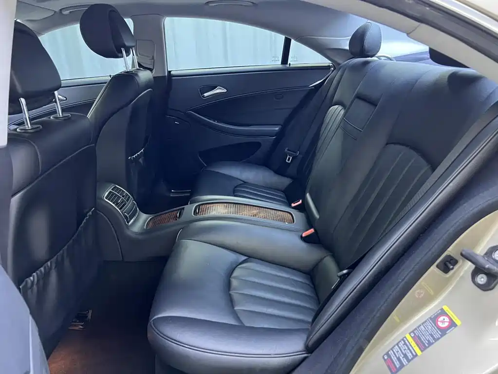 Mercedes-Benz CLS CLS 300, фото 11