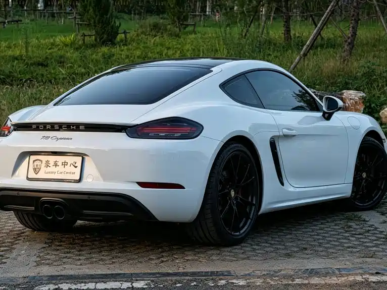 Porsche 718 — миниатюра 8