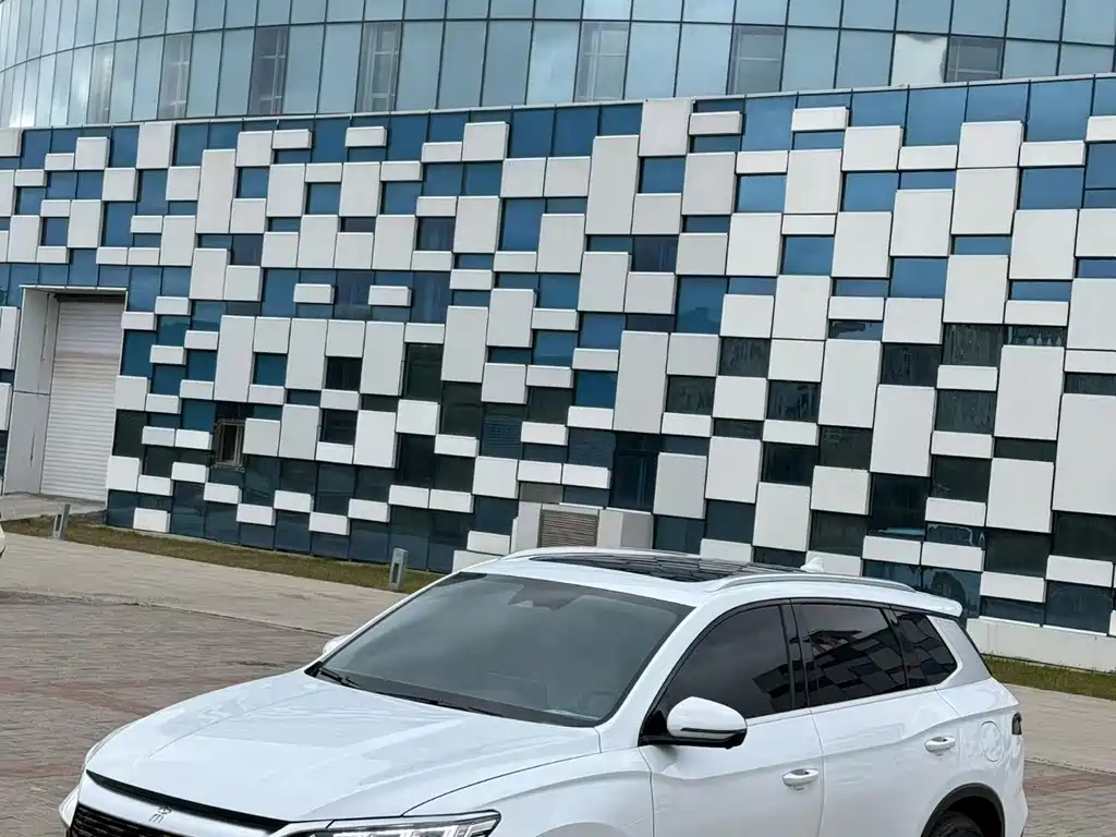 BYD Pro New Energy — миниатюра 10