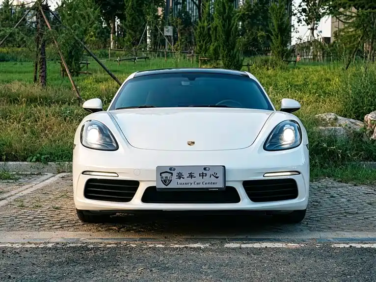Porsche 718 — миниатюра 2