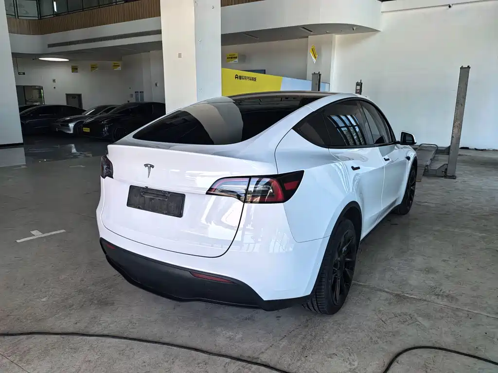 Tesla Model Y — миниатюра 5