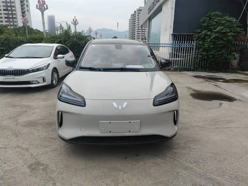 Wuling BinguoPLUS PLUS 2024 510km мест