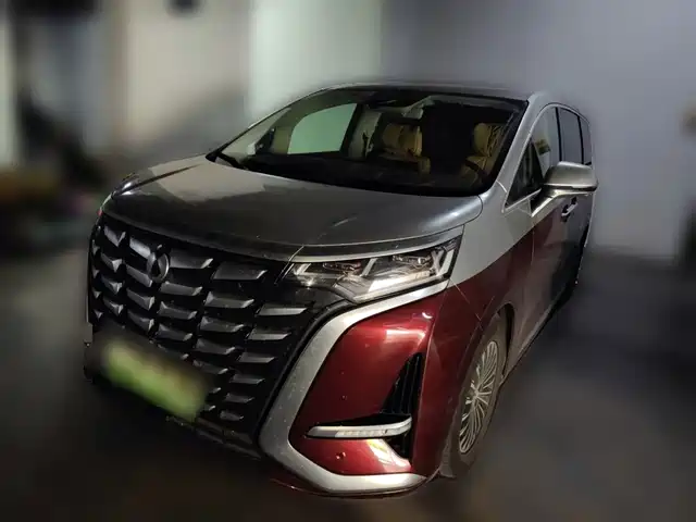 2023 Denza D9