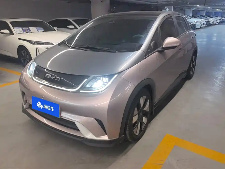 Byd Dolphin 2021
