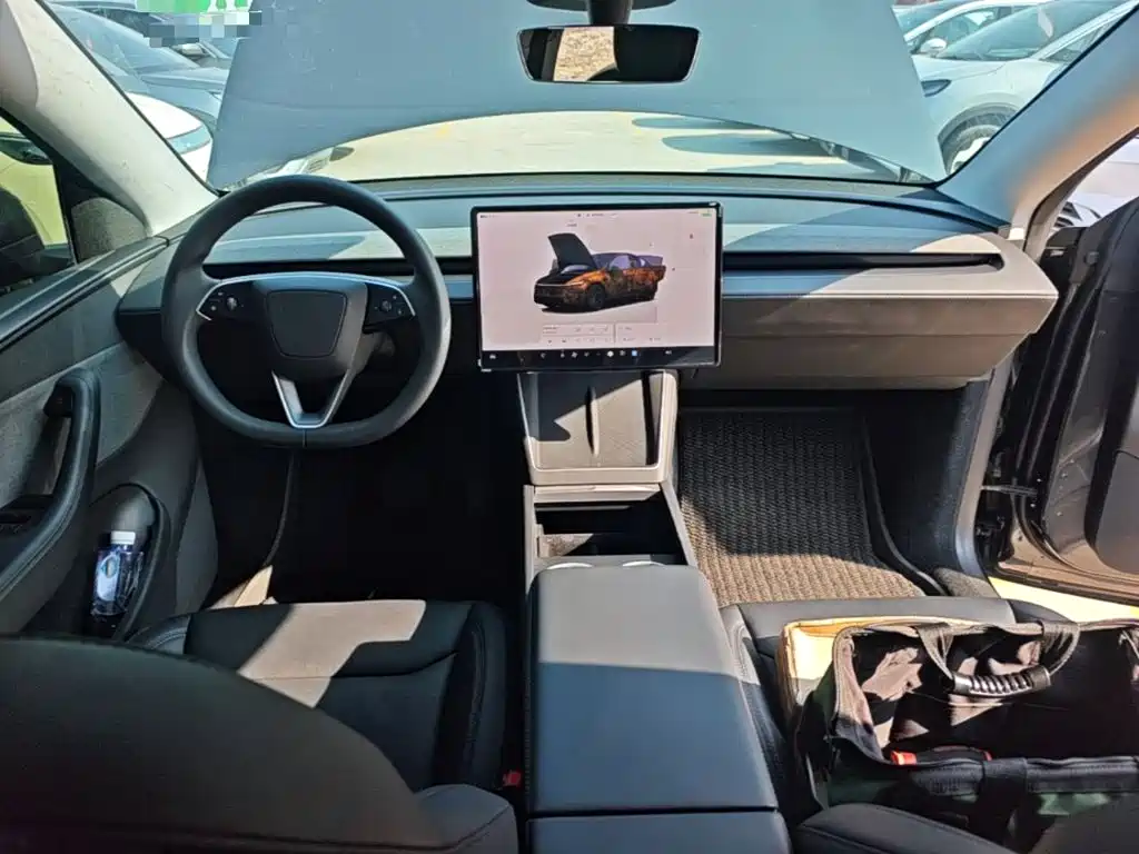 Tesla Model Y — миниатюра 10