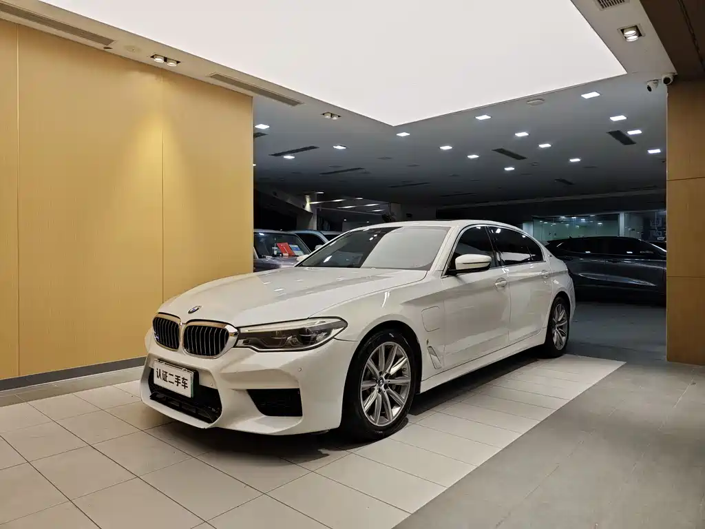 BMW 5 Series New Energy 2018