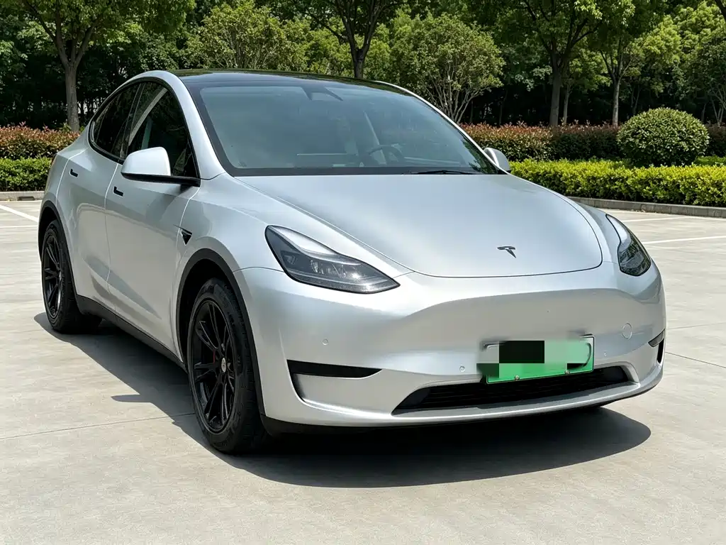 Tesla Model Y — миниатюра 3