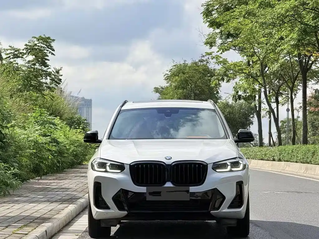 BMW X3 — миниатюра 2