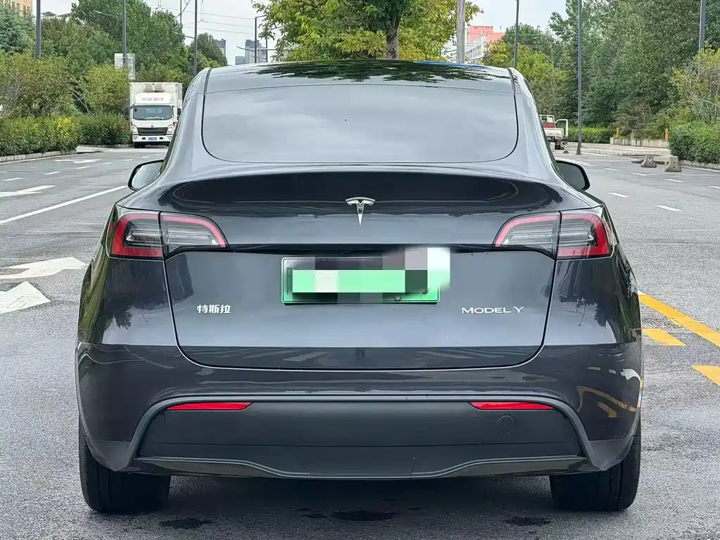 Tesla Model Y — миниатюра 8