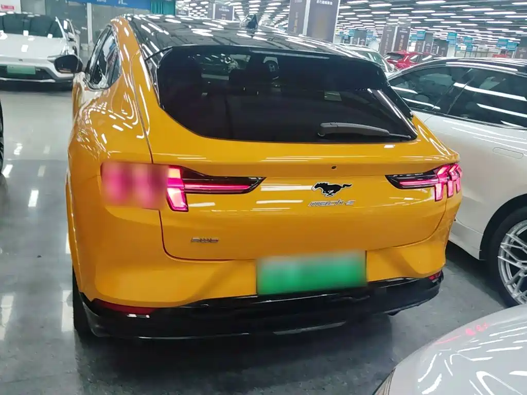 Ford Mustang Mach-E — миниатюра 6