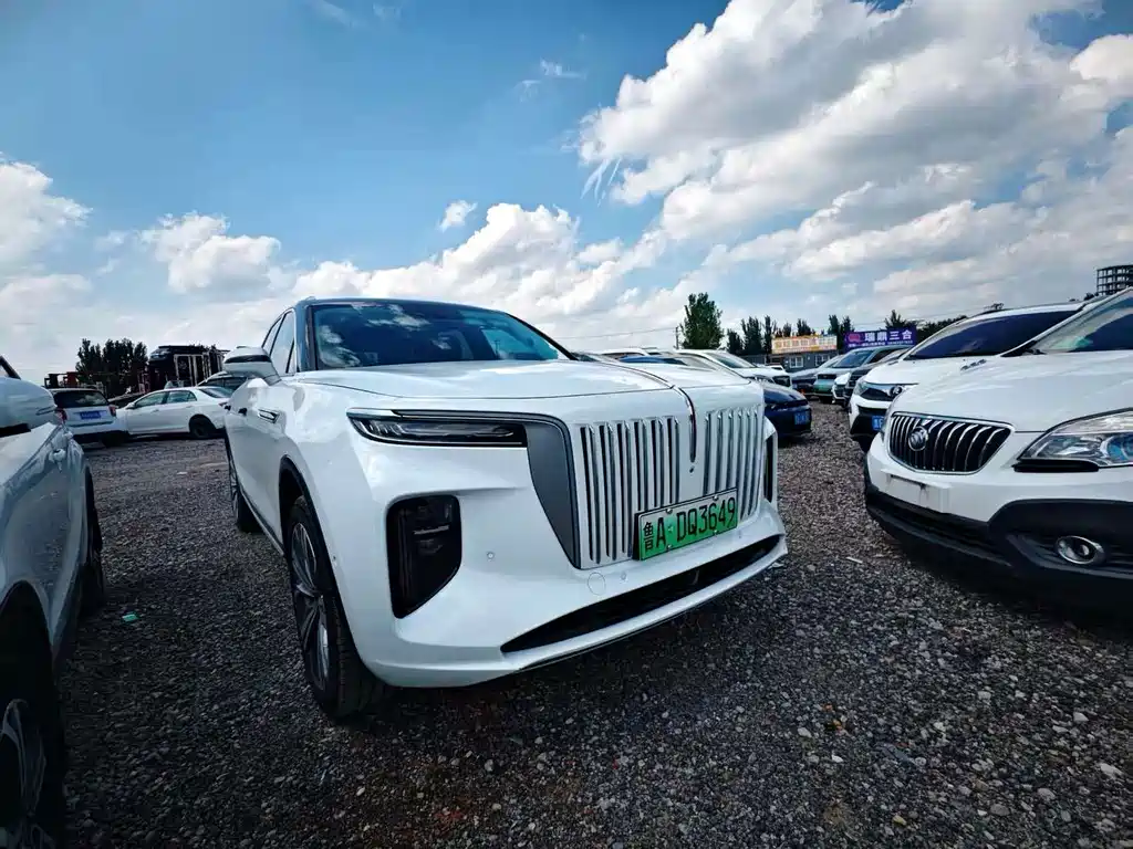 Hongqi Hongqi E-HS9 — миниатюра 3