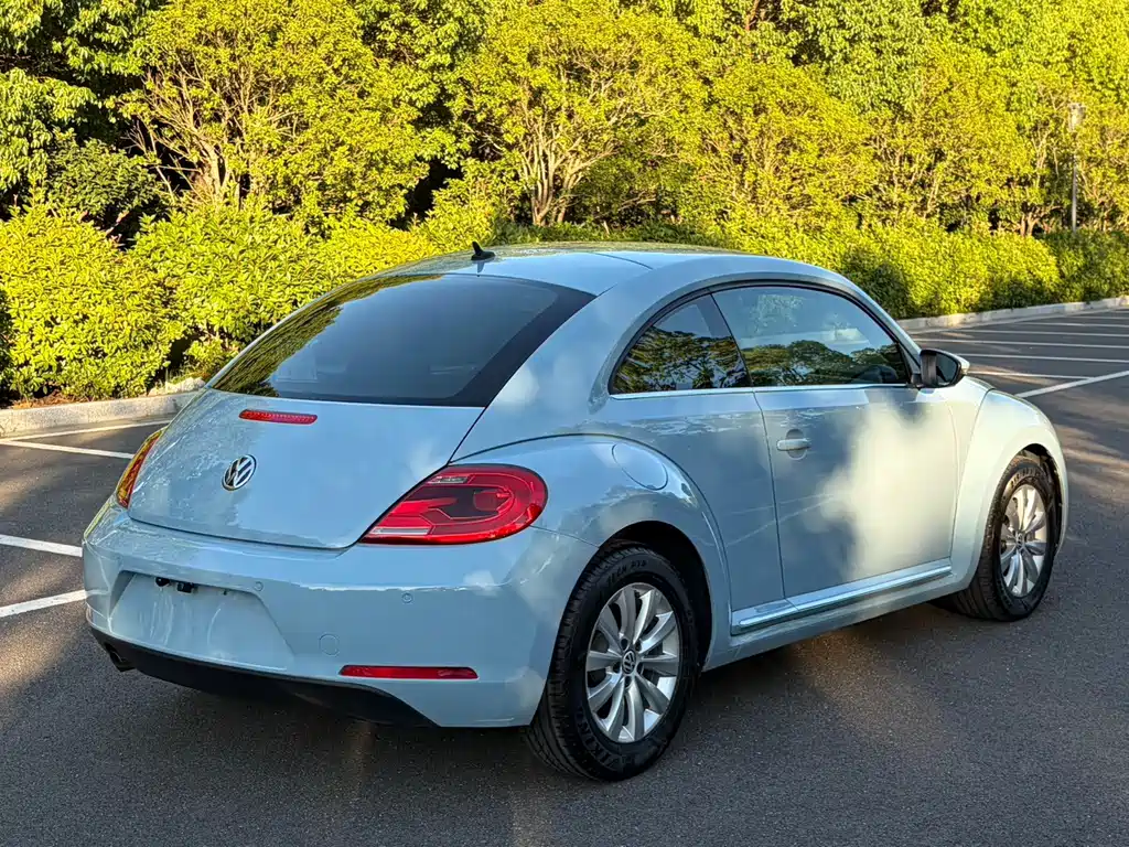 Volkswagen Beetle — миниатюра 11