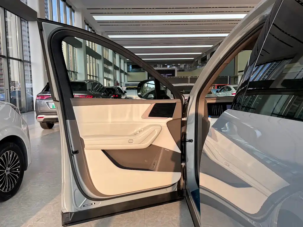 Denza Denza N8L — миниатюра 8