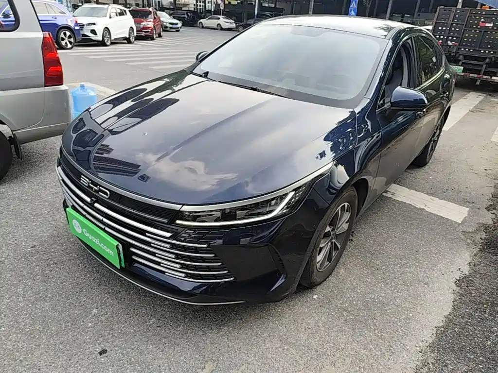 BYD Destroyer 05 2024 DM-i 55KM Luxury