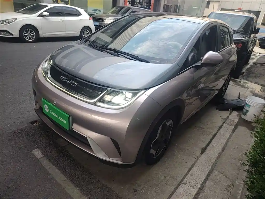 Byd Dolphin 2022