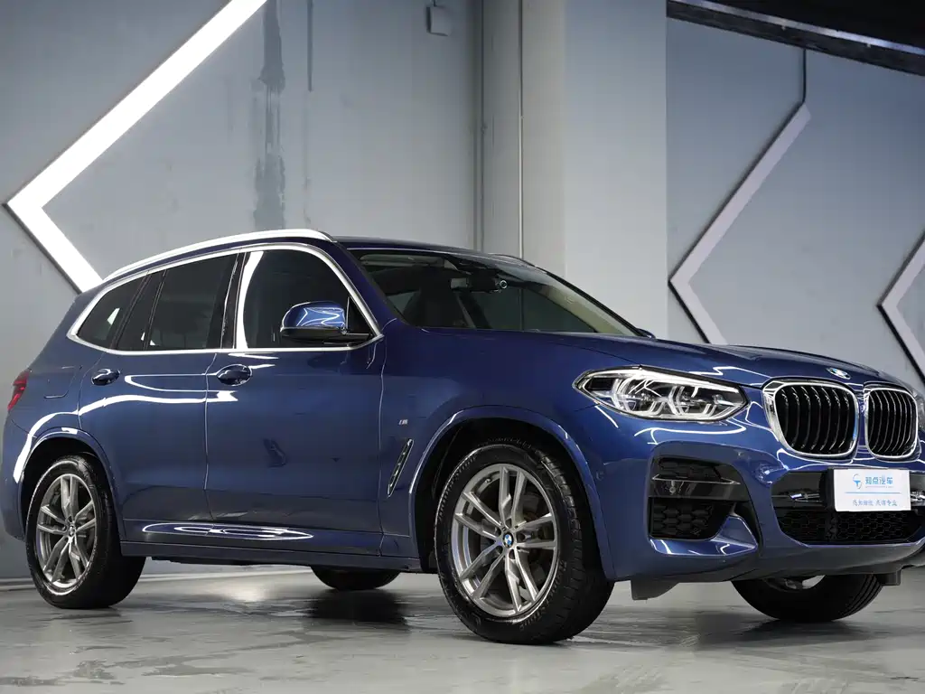 BMW X3 — миниатюра 3