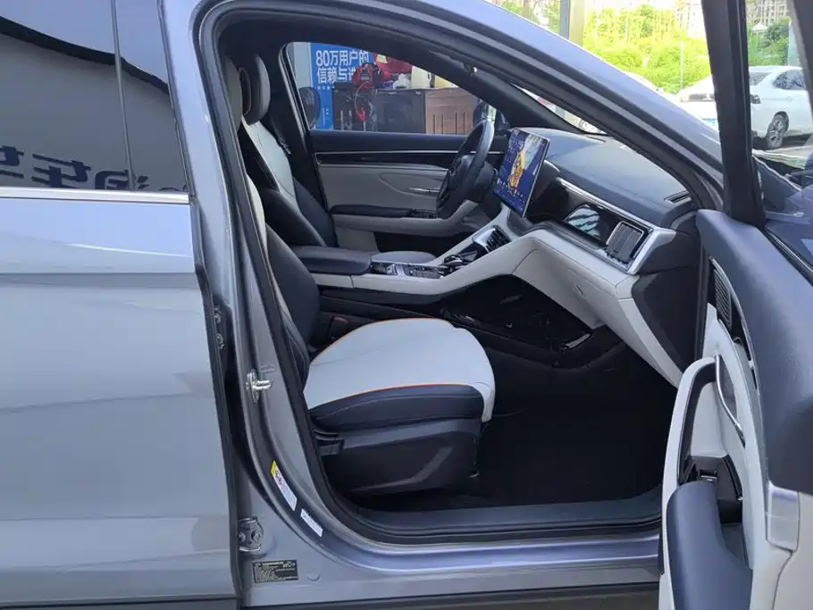 BYD PLUS New Energy — миниатюра 8