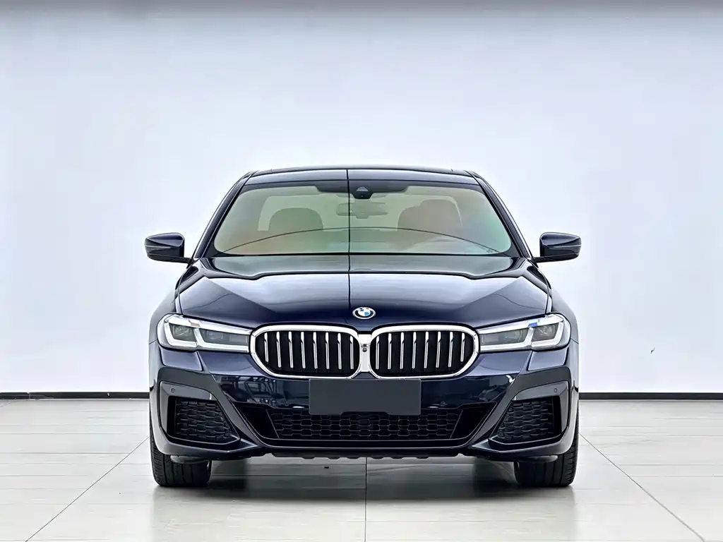 BMW 5 Series — миниатюра 2