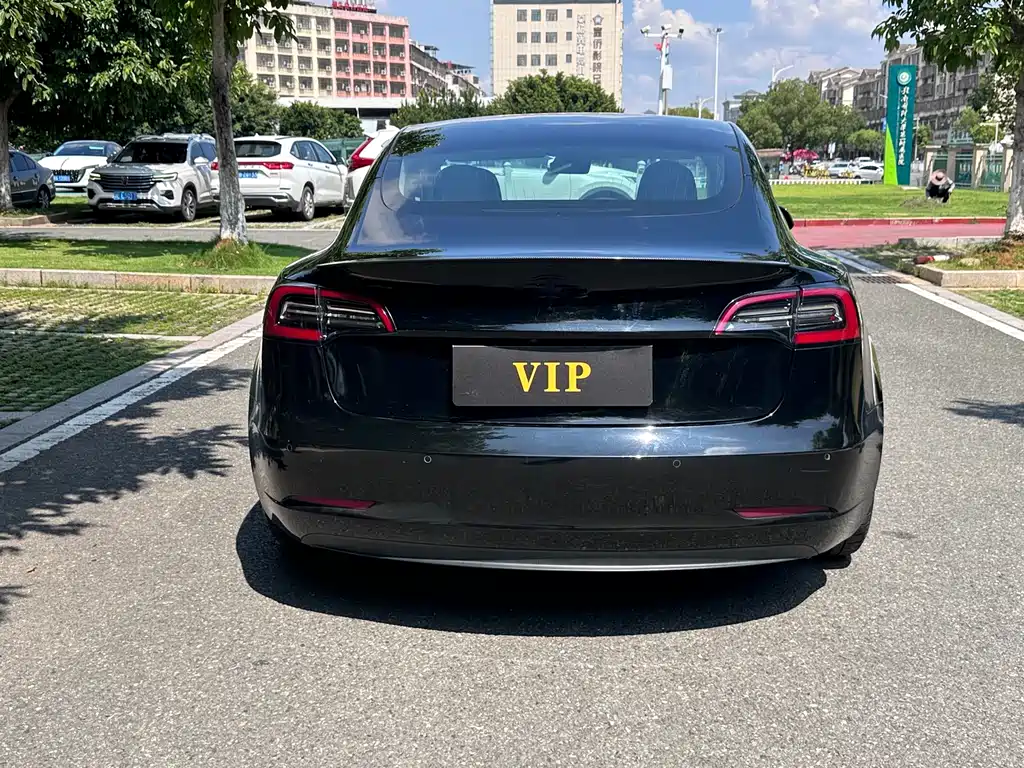 Tesla Model 3 — миниатюра 6