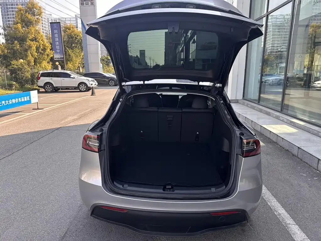 Tesla Model Y — миниатюра 11