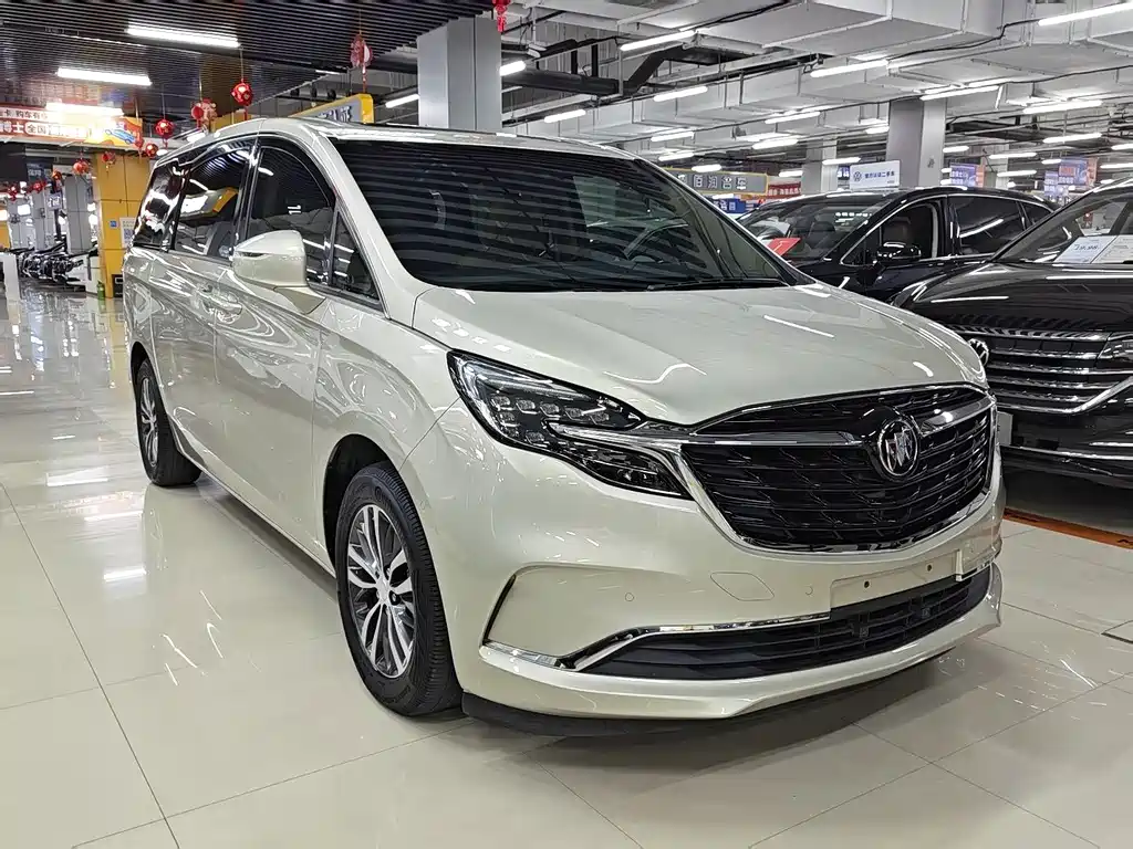 Buick GL8 — миниатюра 3