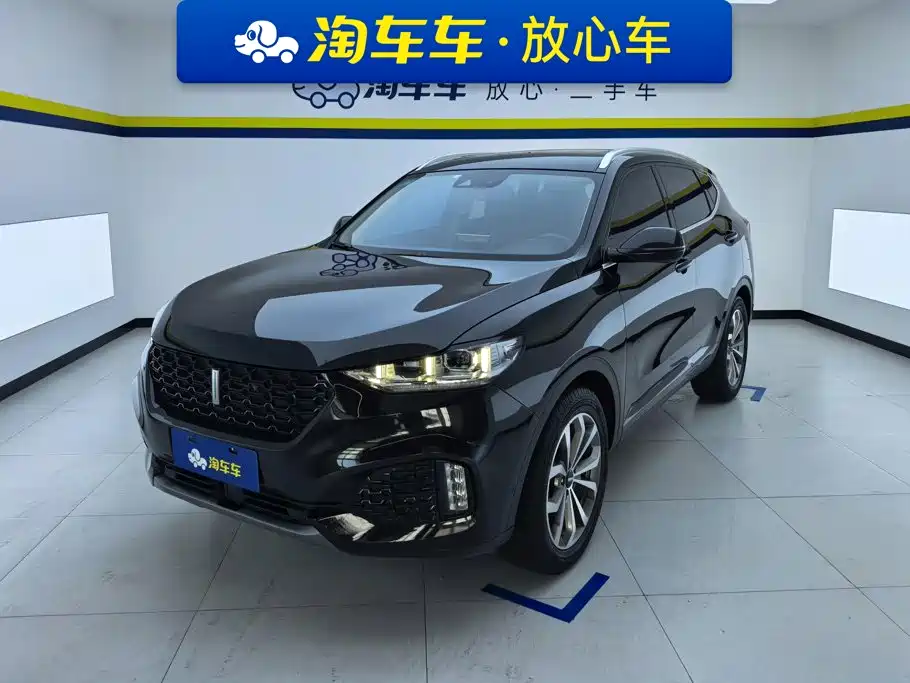 Wey Wey VV6