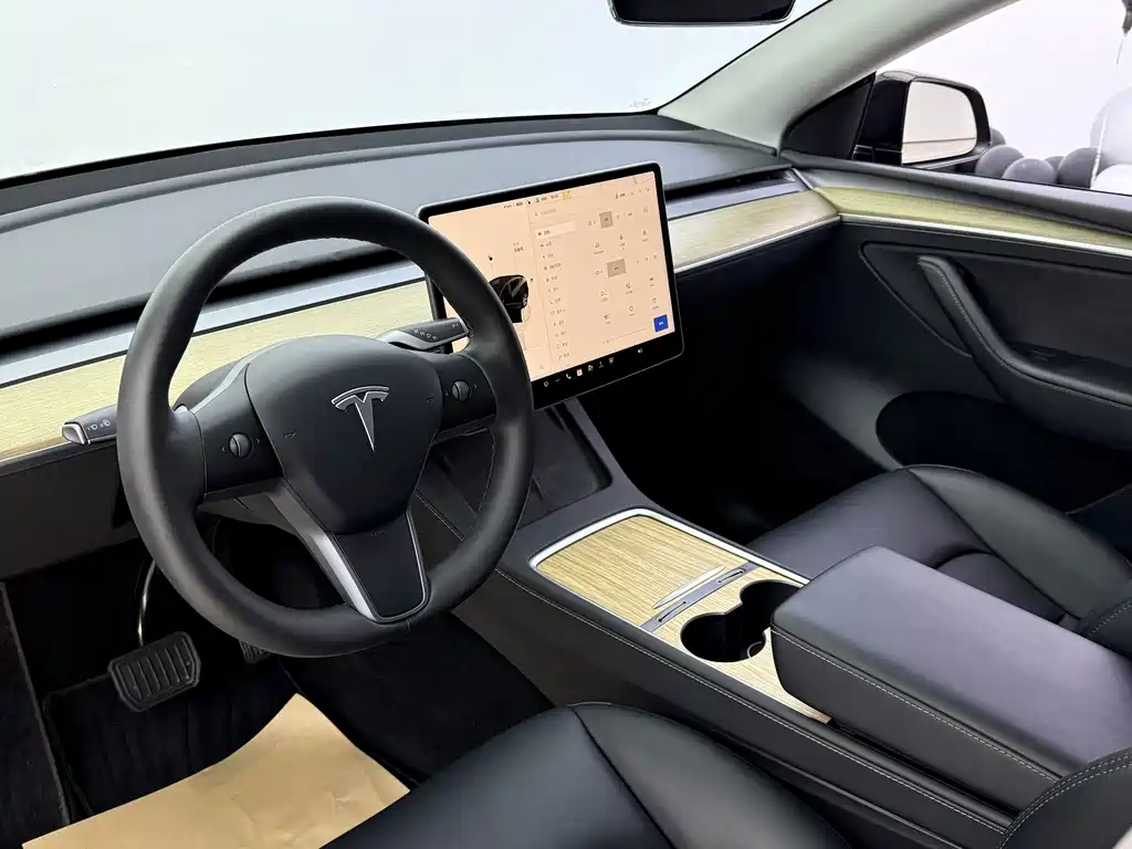 Tesla Model Y — миниатюра 4