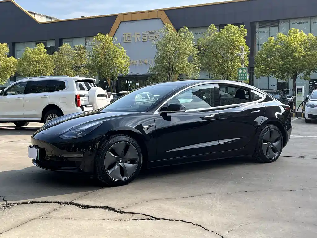 Tesla Model 3 — миниатюра 3