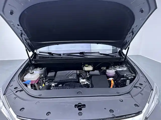 BYD Pro New Energy — миниатюра 9