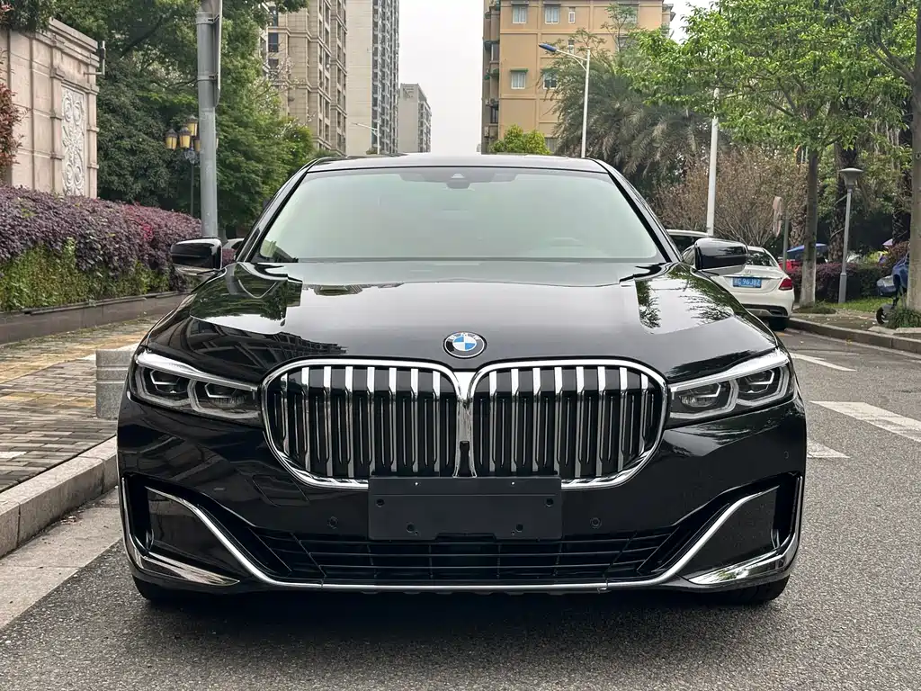 BMW 7 Series 7 2019 730Li Luxury