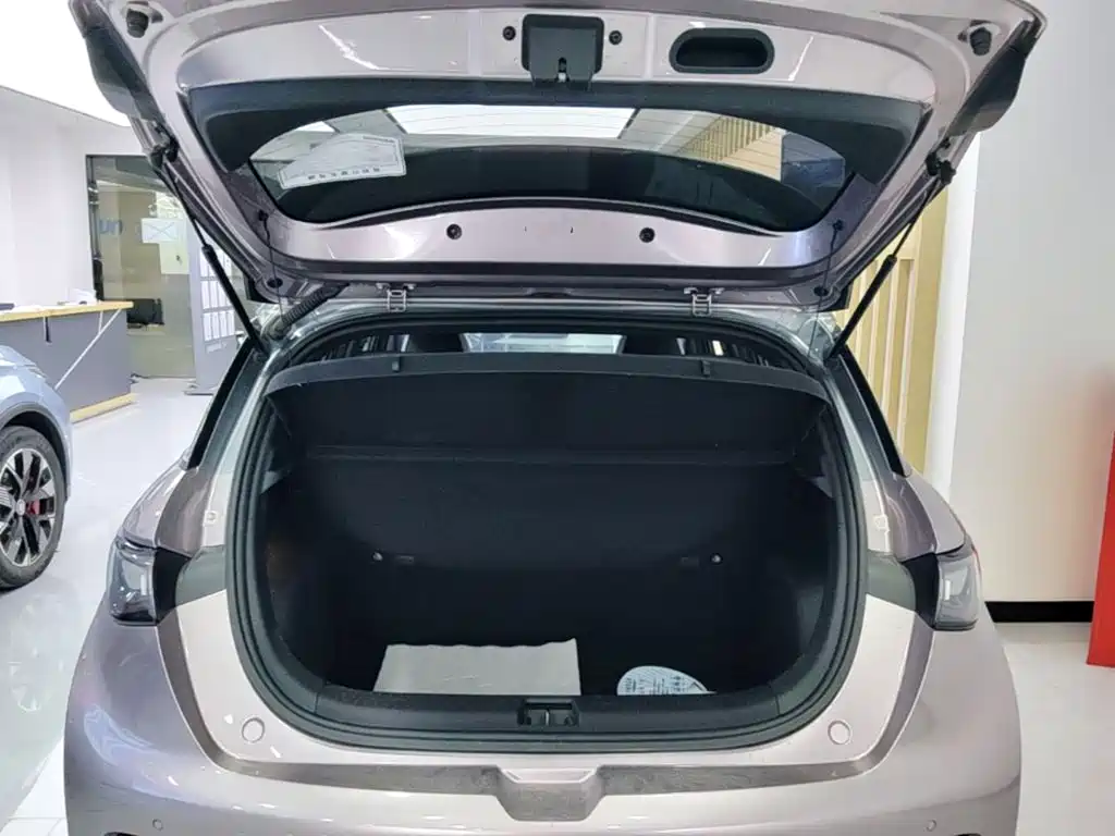 BYD Dolphin — миниатюра 19