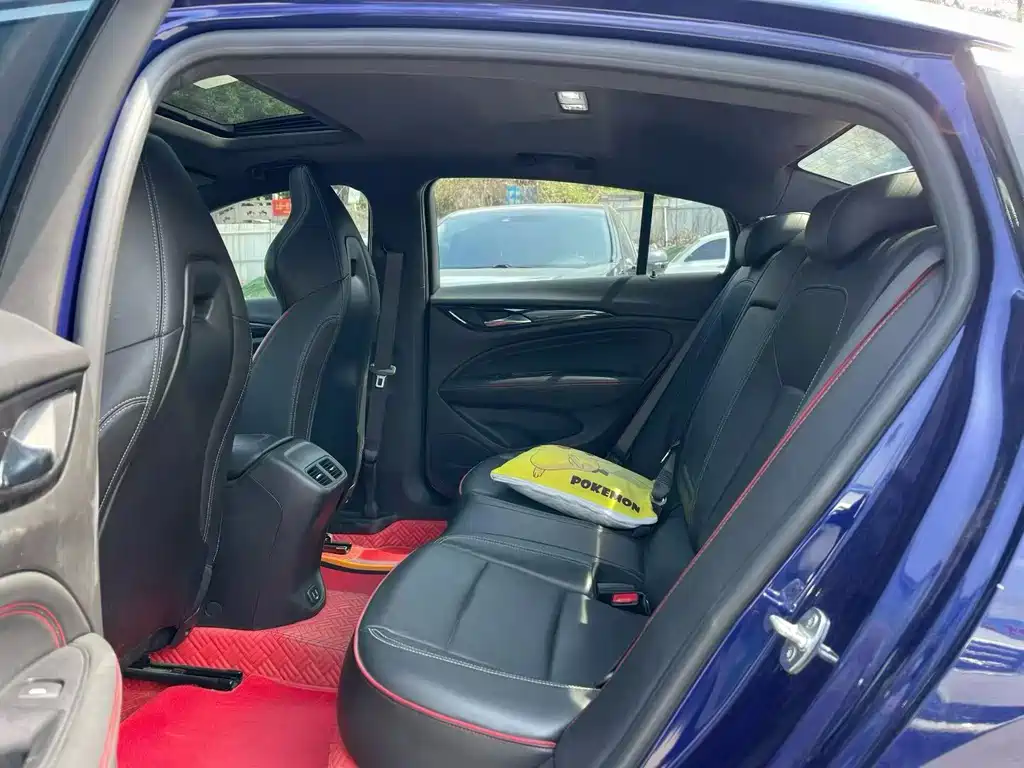 Buick Regal — миниатюра 7