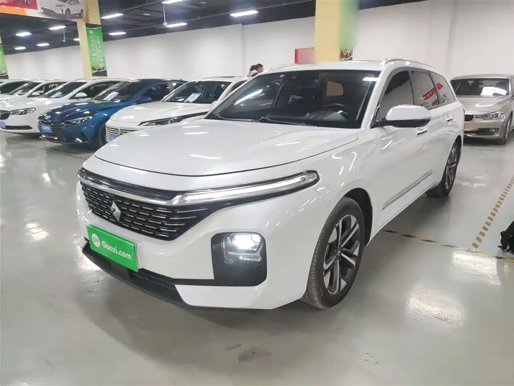 Baojun Valli 2021