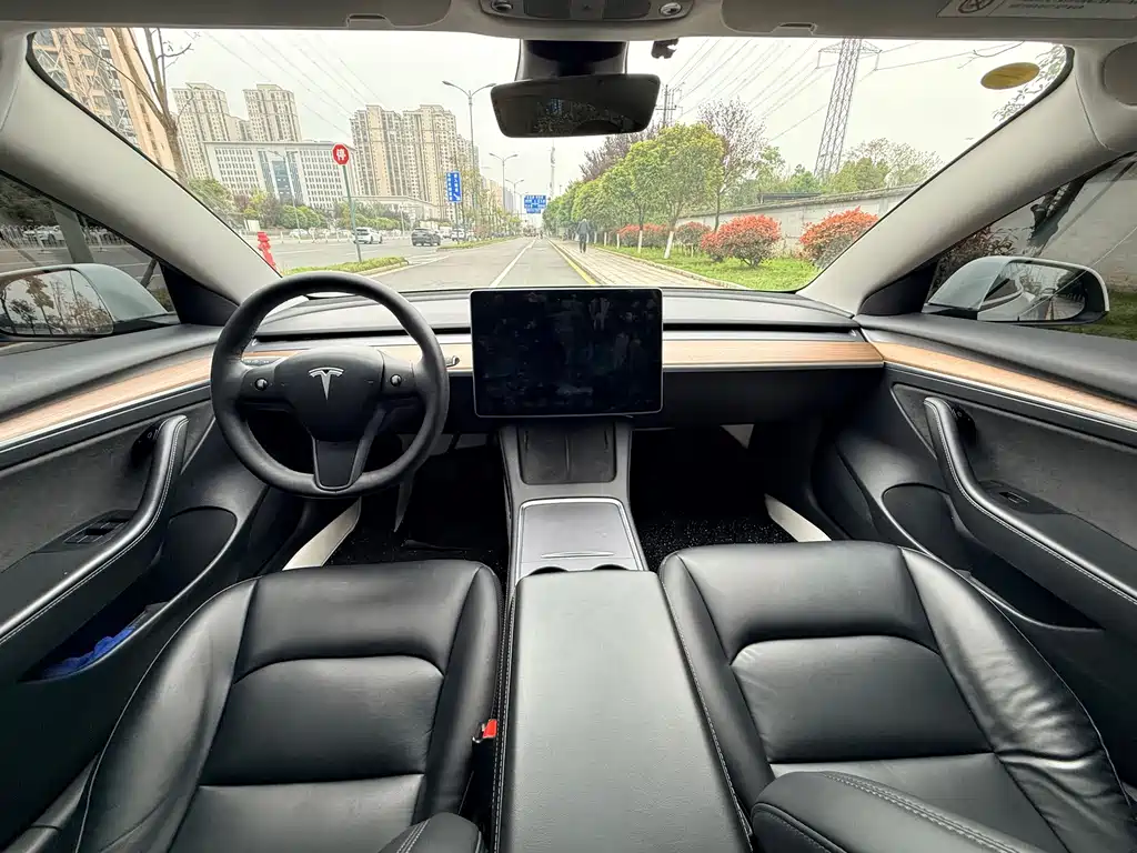 Tesla Model 3 — миниатюра 11