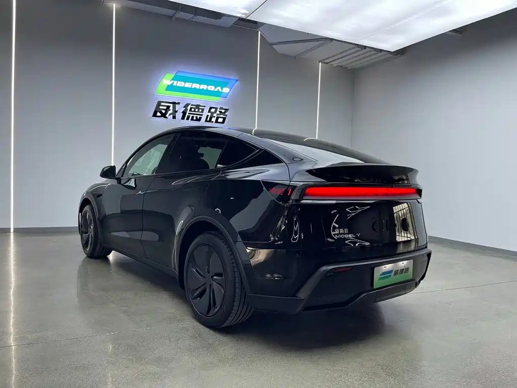 Tesla Model Y — миниатюра 4