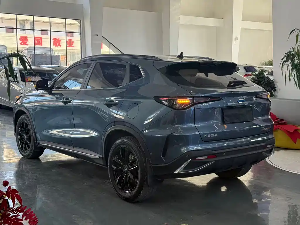 Oshan Oushang X5 PLUS — миниатюра 9