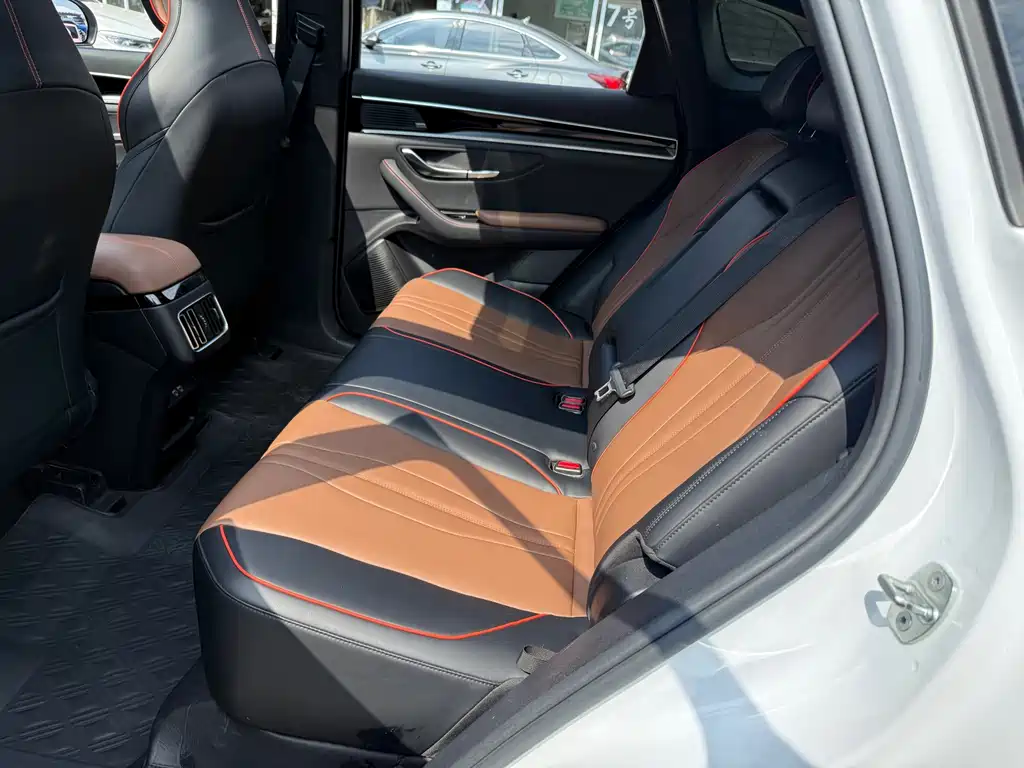 BYD PLUS — миниатюра 16