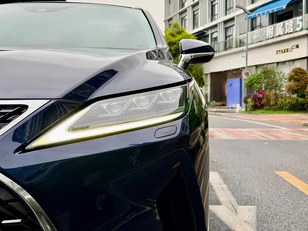 Lexus RX 2020 300 Elegant