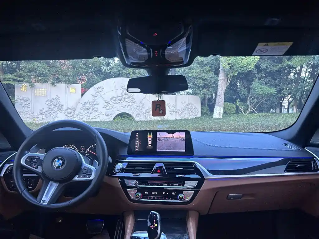 BMW 5 Series 5 2019 530Li xDrive M Sport