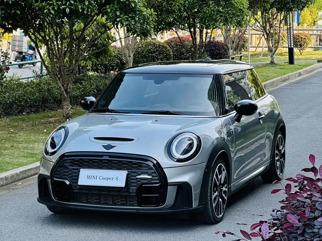 Mini Mini 2024