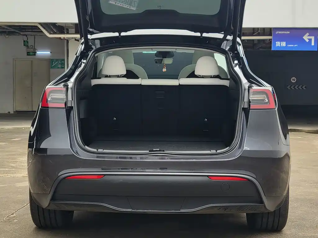 Tesla Model Y — миниатюра 17