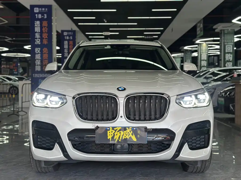 BMW X3 — миниатюра 2