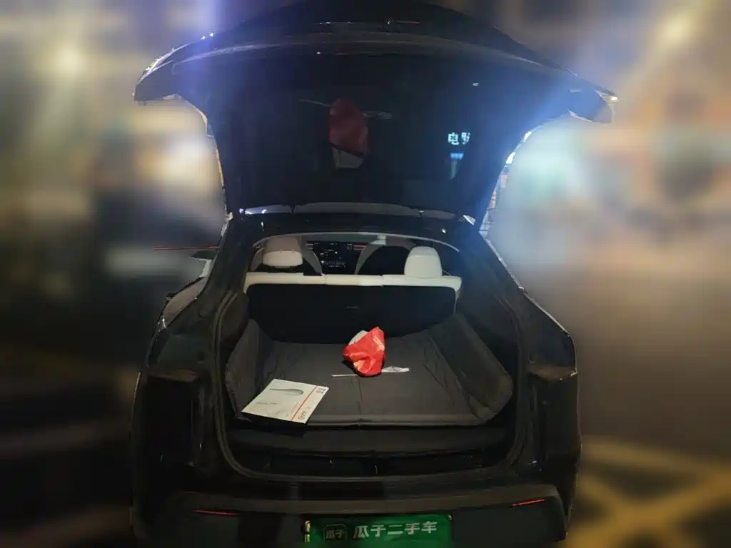Tesla Model Y — миниатюра 10
