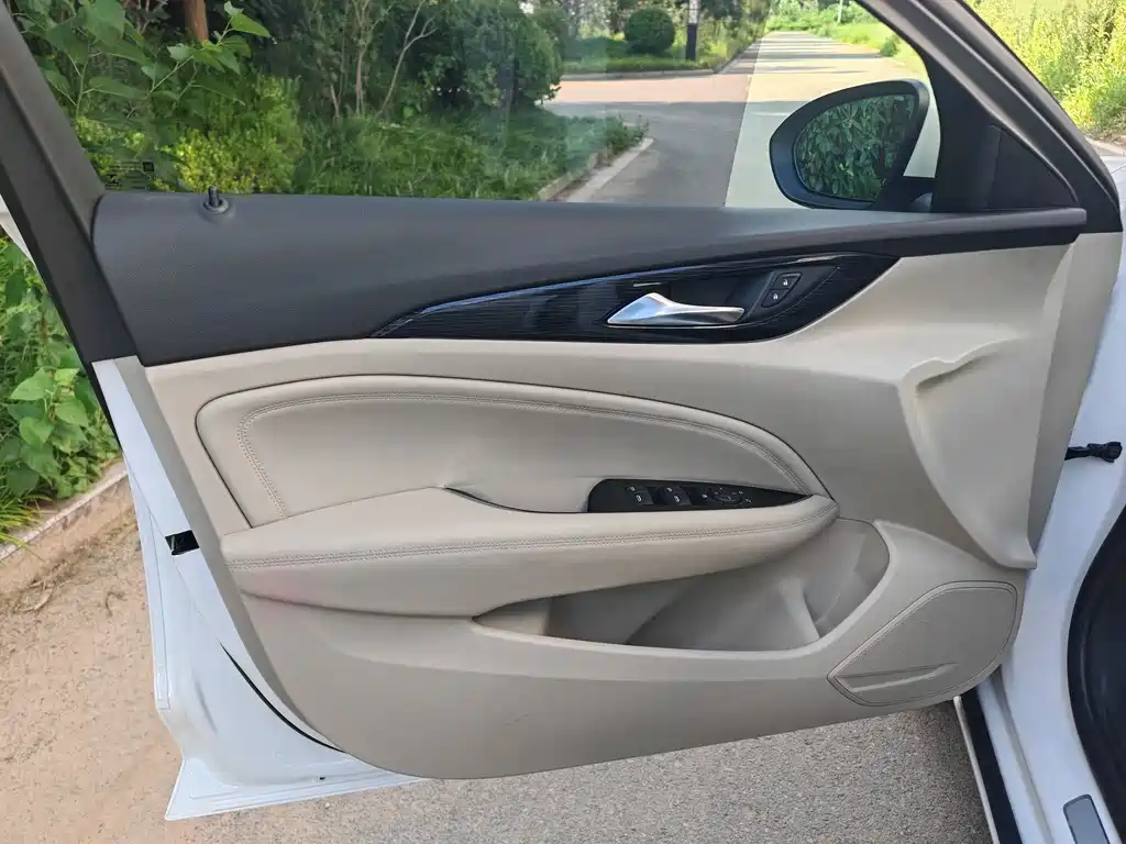 Buick Regal — миниатюра 15