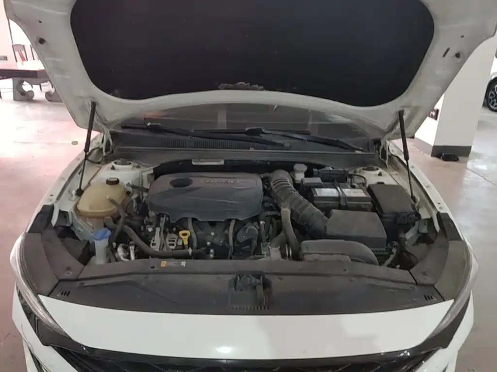 Hyundai Fista — миниатюра 20