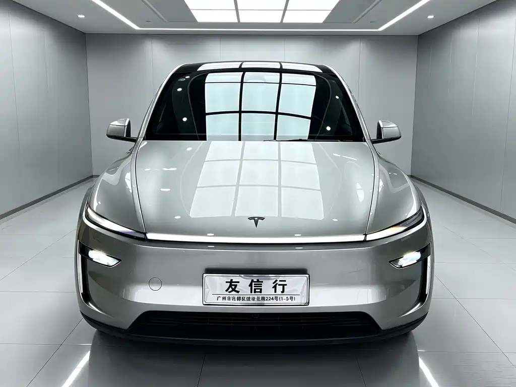 Tesla Model Y L — миниатюра 2